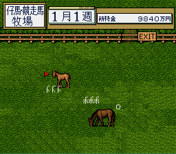 Thoroughbred Breeder (Japan) In game screenshot